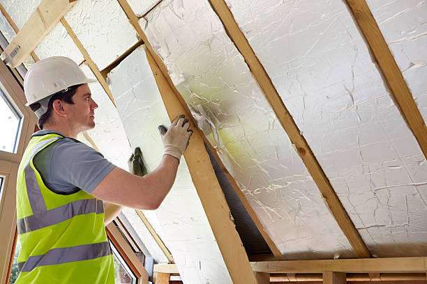 Best Insulation for New Construction  in Liberty Triangle, FL